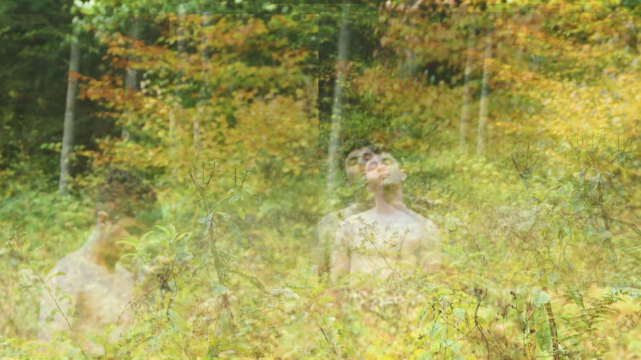 Artful Concealment and Strategic Visibility