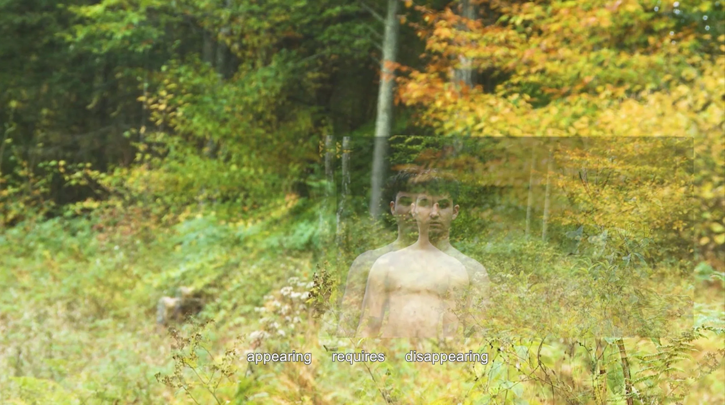 Artful Concealment and Strategic Visibility