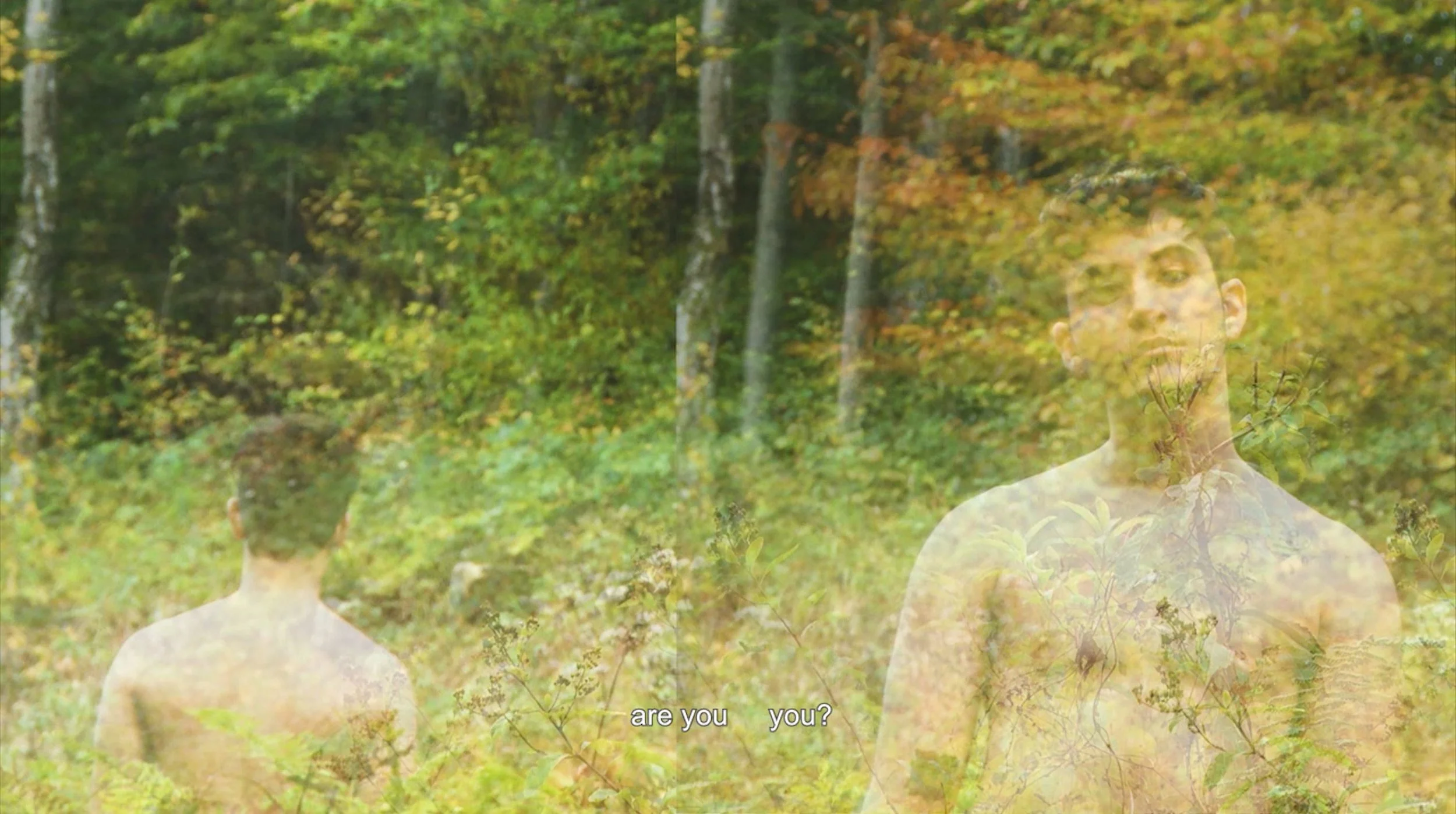 avsc 2 with subtitles.JPG