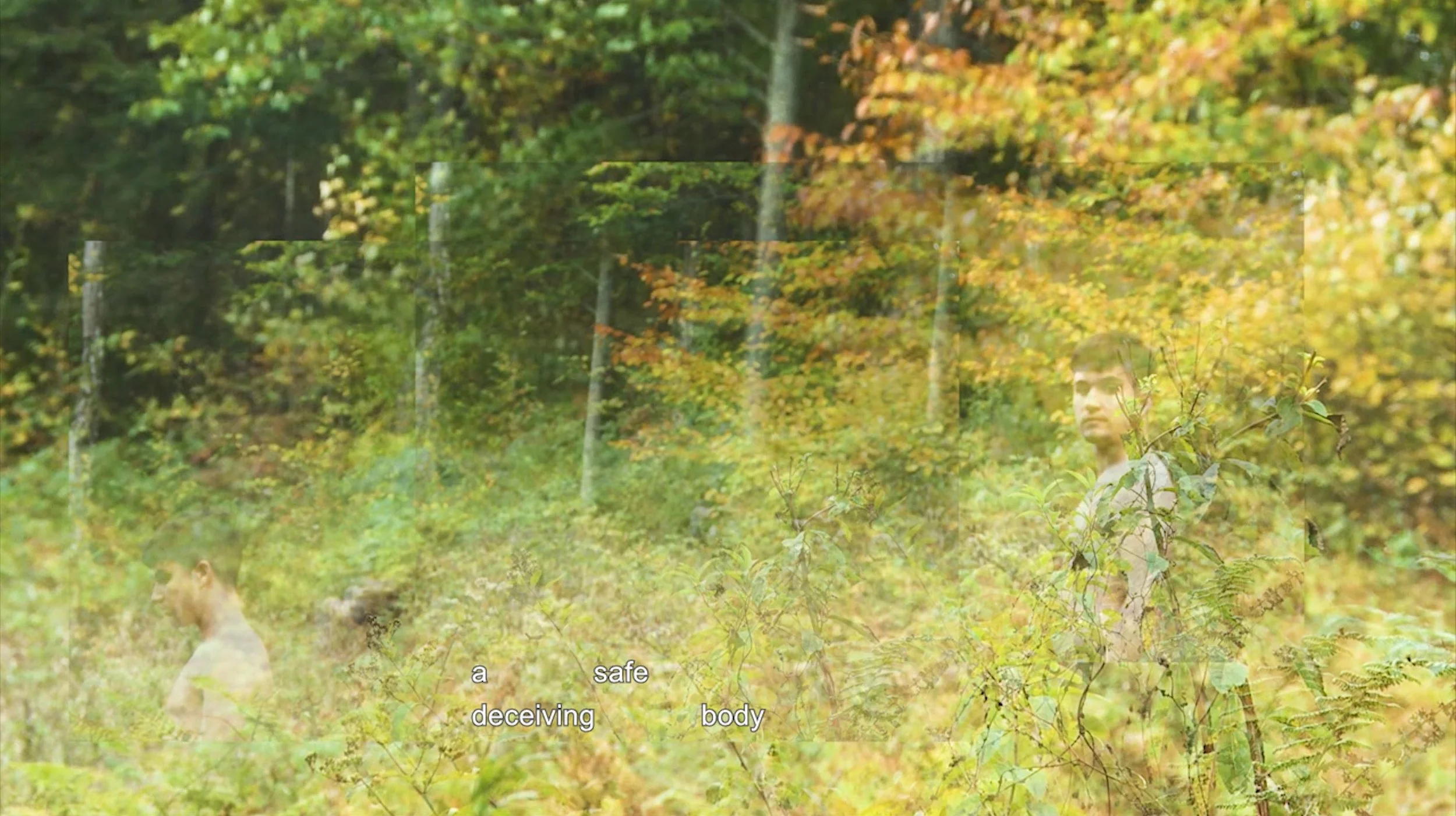 AVSV 4 with subtitles.JPG