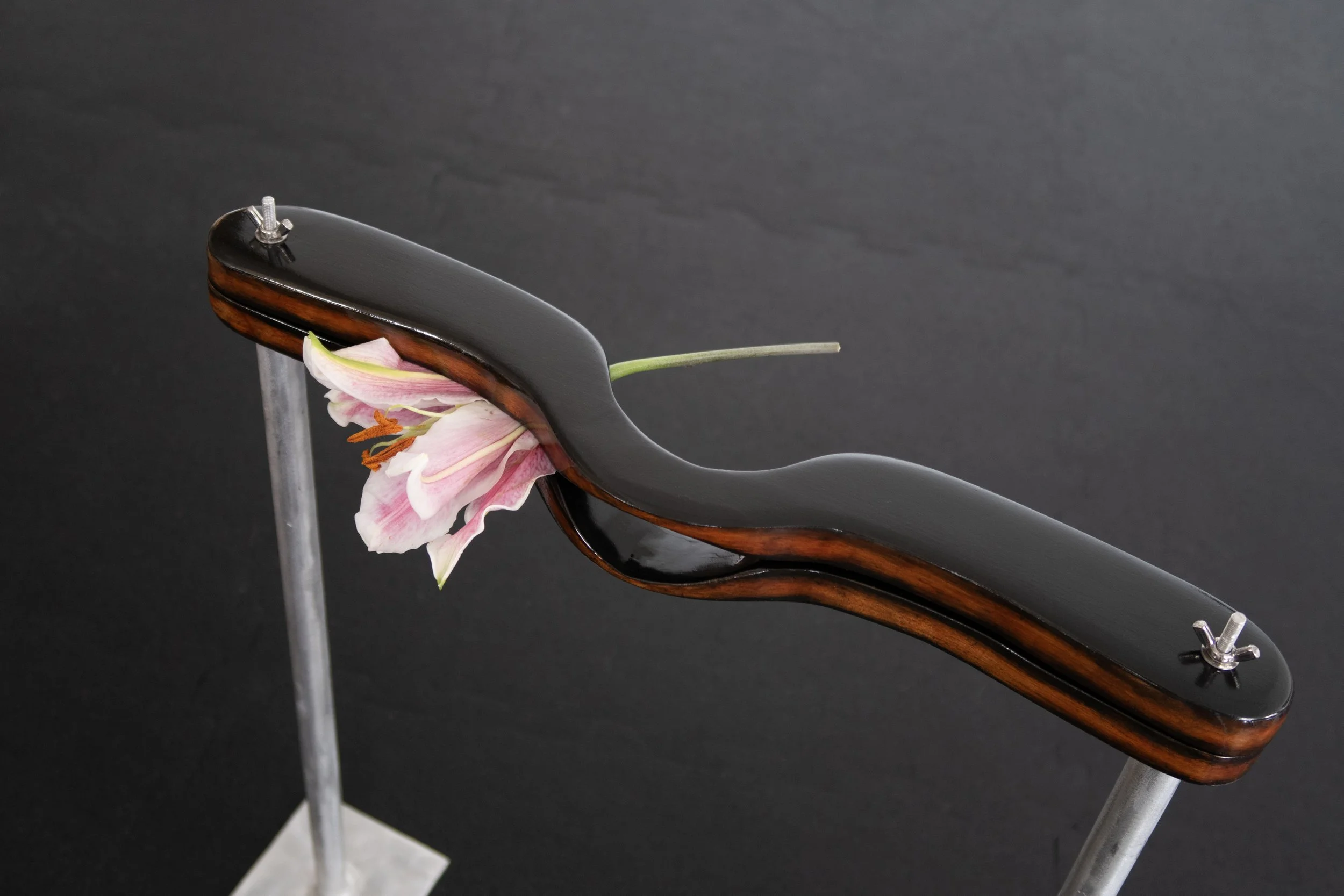 Dependency Overhead Closeup copy.jpg