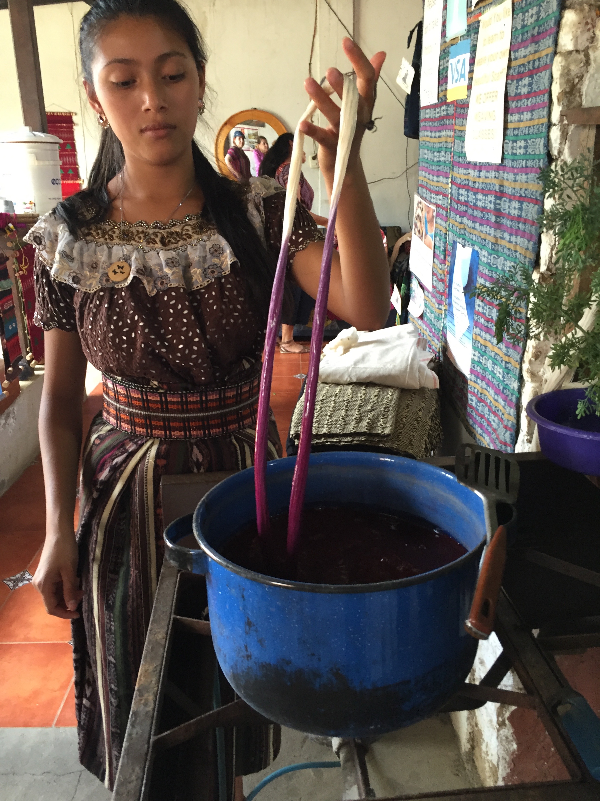 It takes about 12 hours for the cotton to absorb the color from the plant.