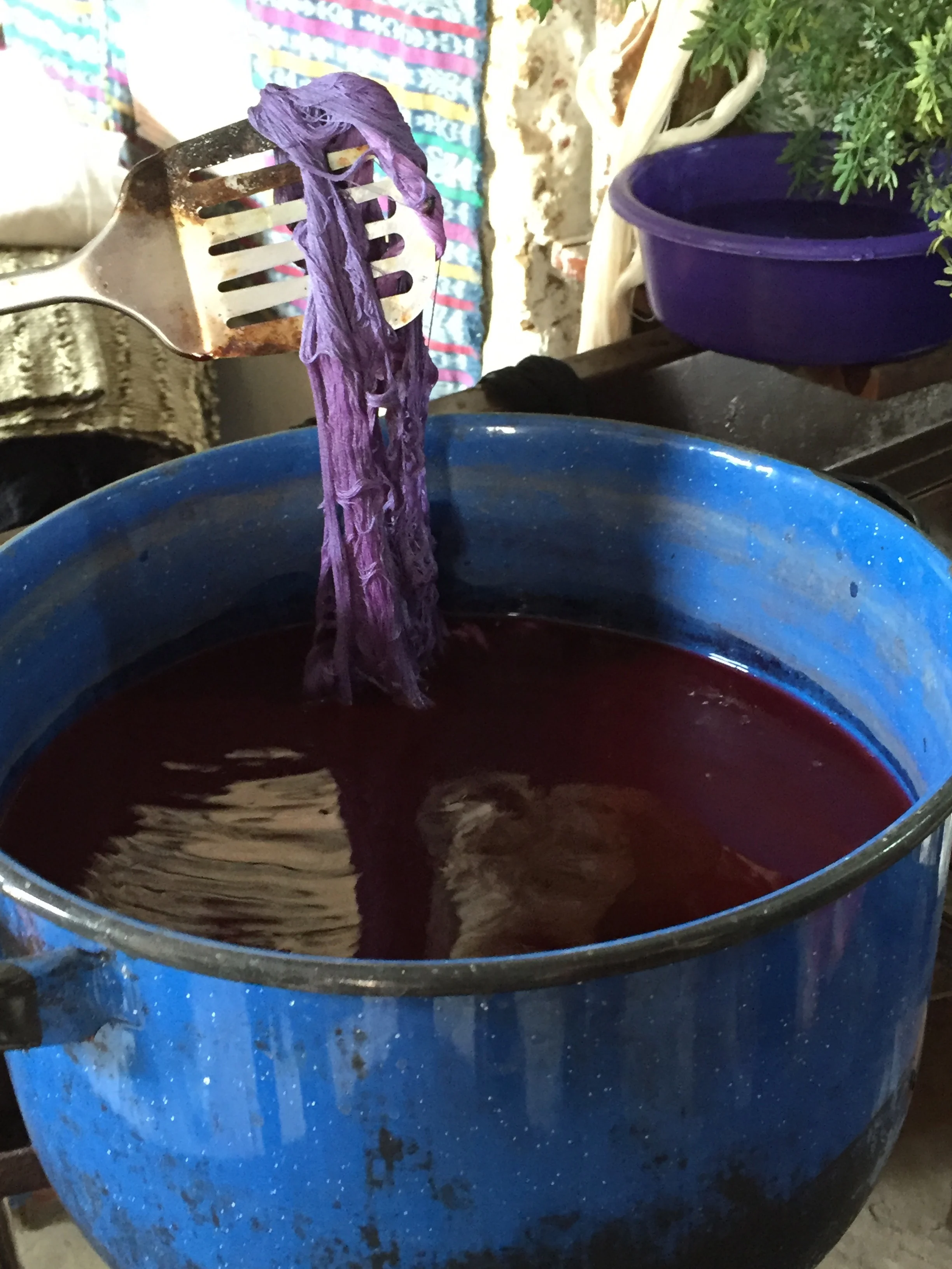 The women use natural plant and organic material as dyes. Basil makes this lilac purple color.