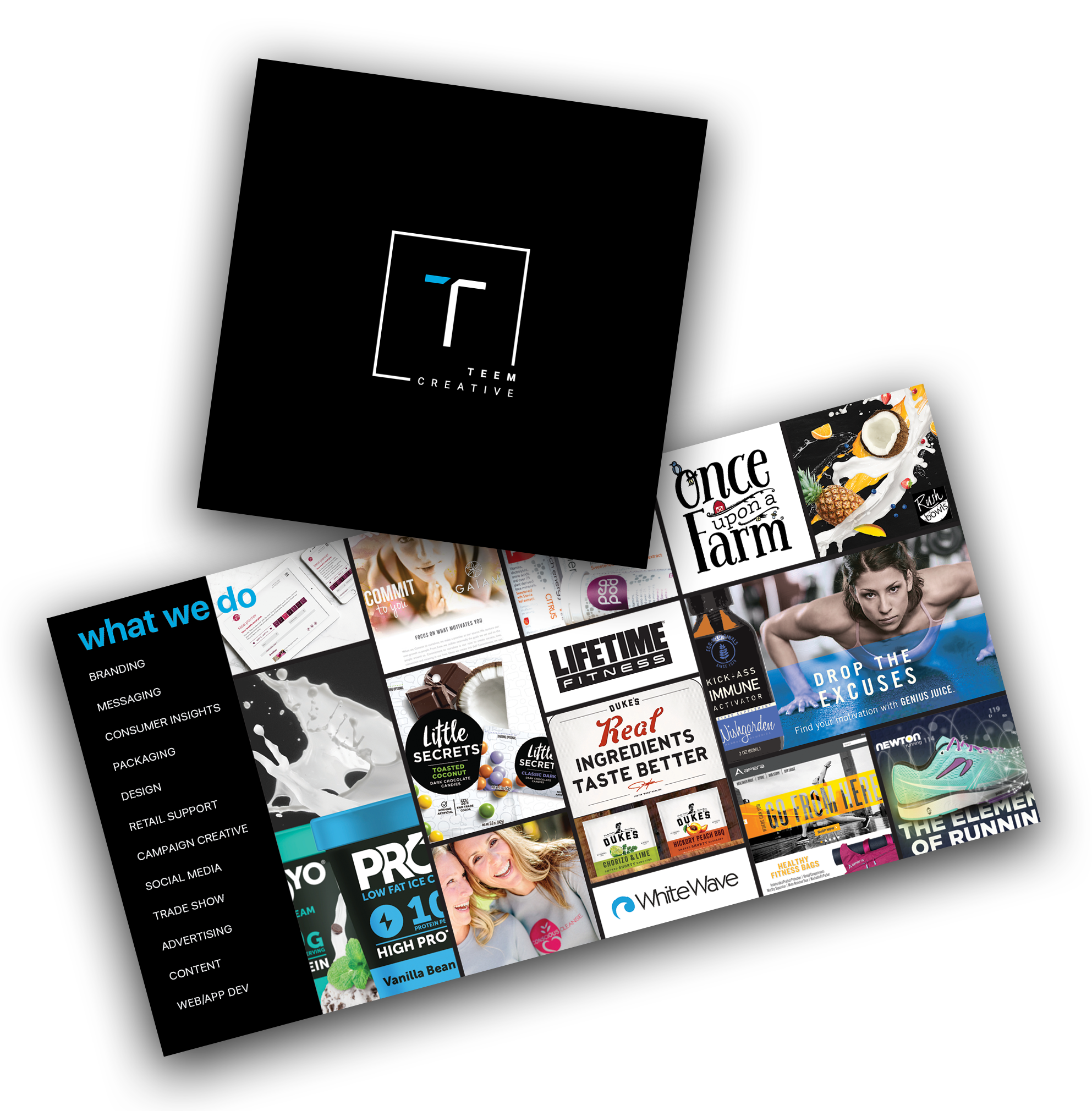 Teem Expo Handout