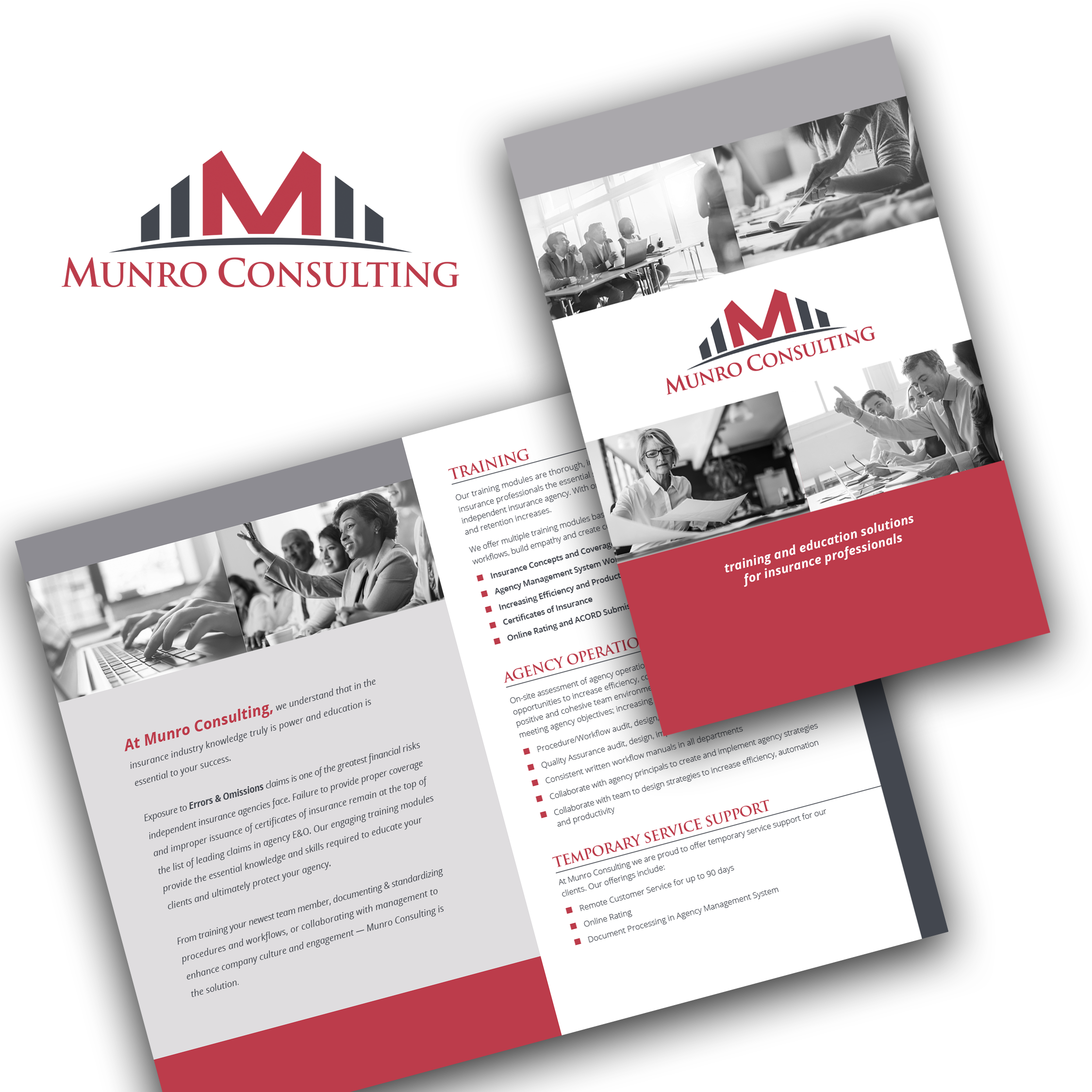 Munro Consulting Brochure
