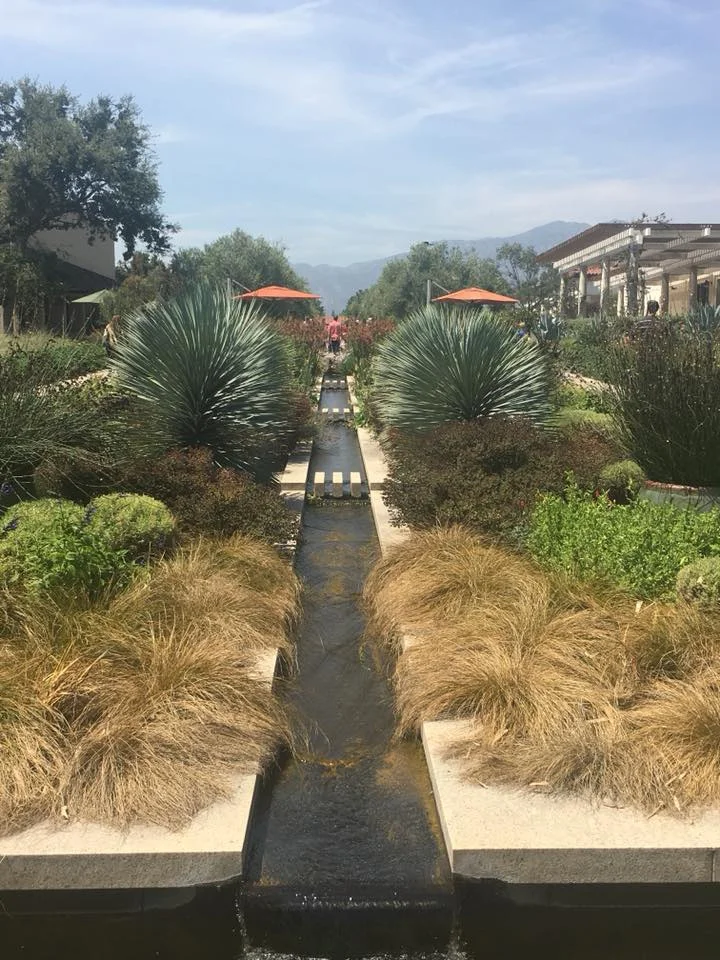 The grounds at Hunting Library outside Los Angeles