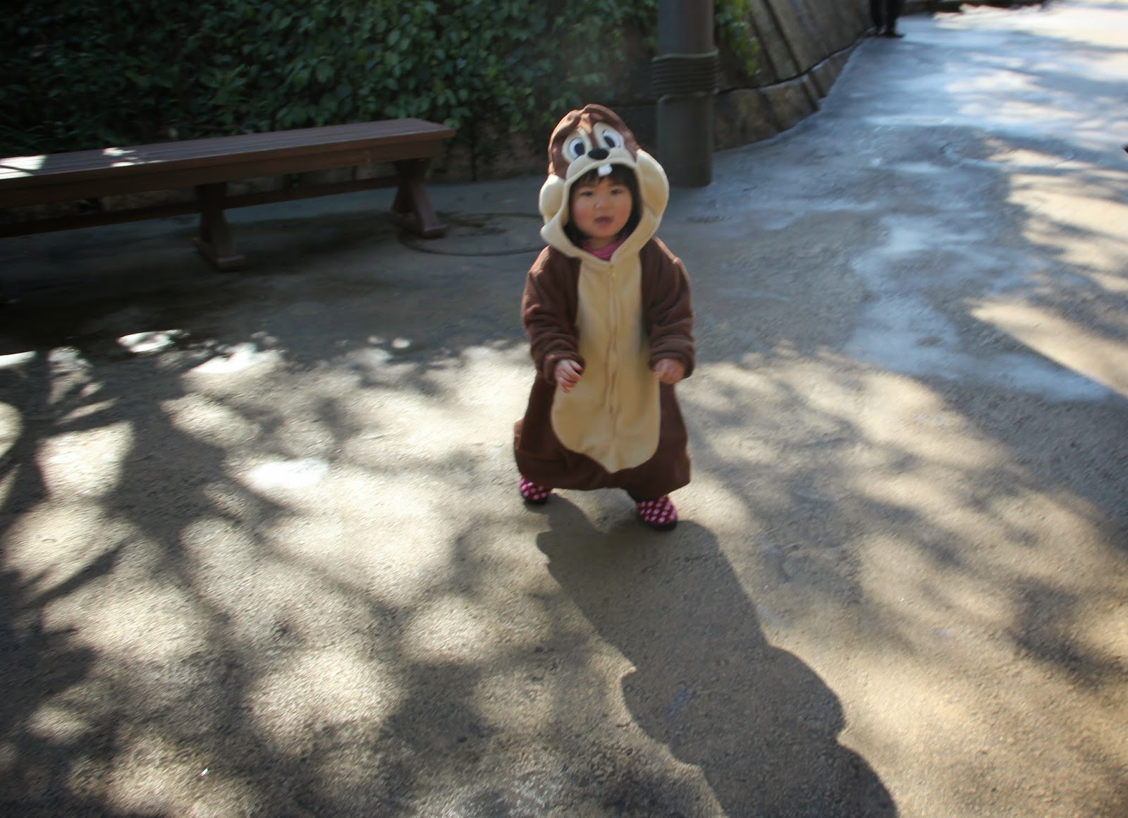IMG_5929.JPG
