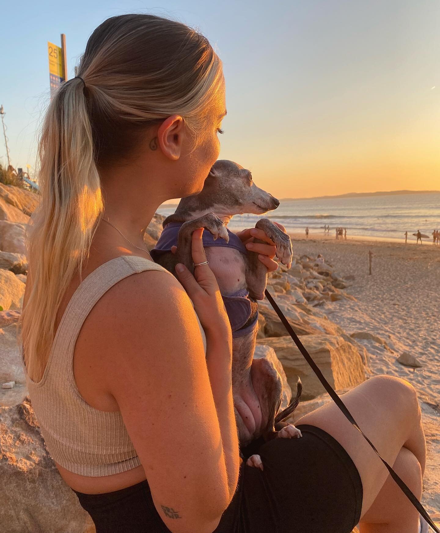 heidi &amp; aunty e 🌅 missing my babies &amp; @gengen________ 🧡💛 if you or anyone you know need a dog or cat sitter I will be available from the 19th 🫶🏽 
.
.
.
.
.
.
.
.
.

.
.
.
.
.
#italiangreyhound #ilovebeinganauntie #morningwalk  #italiangr