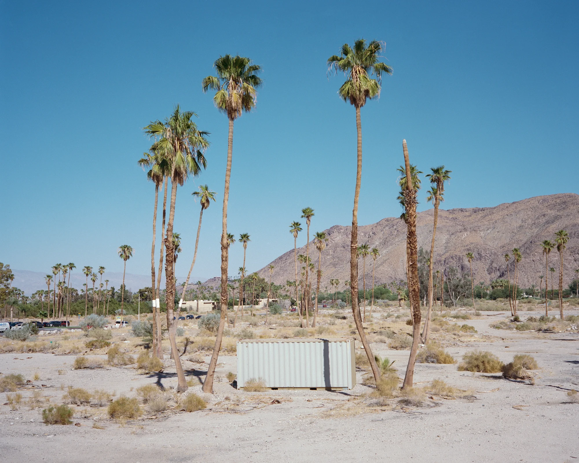 meet-california (1 sur 33).jpg