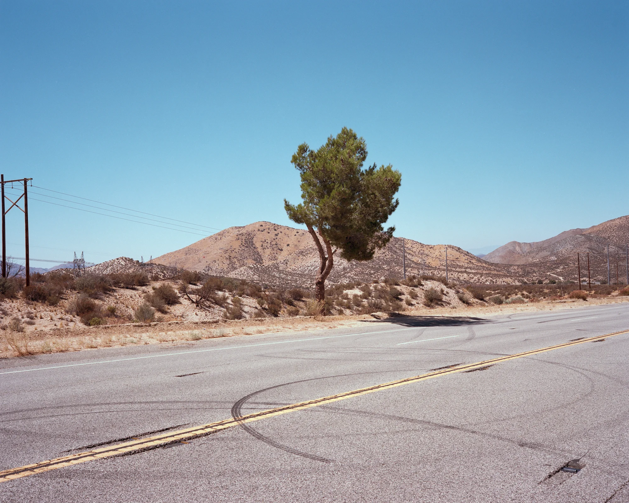 meet-california (6 sur 33).jpg