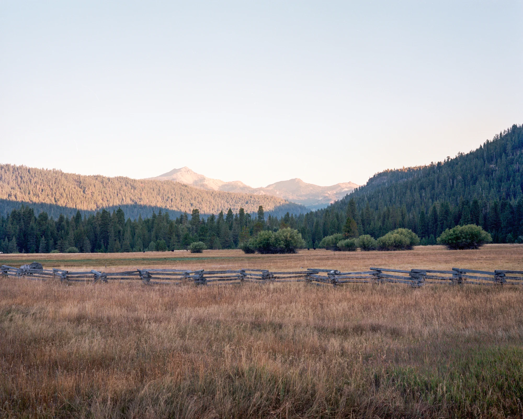 meet-california (16 sur 33).jpg