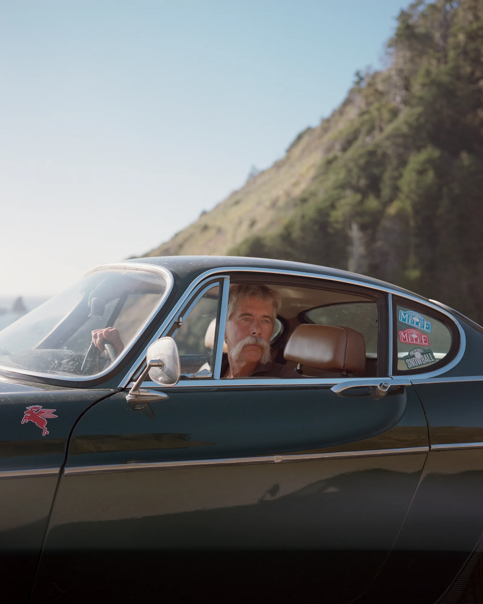 meet-california (19 sur 33).jpg