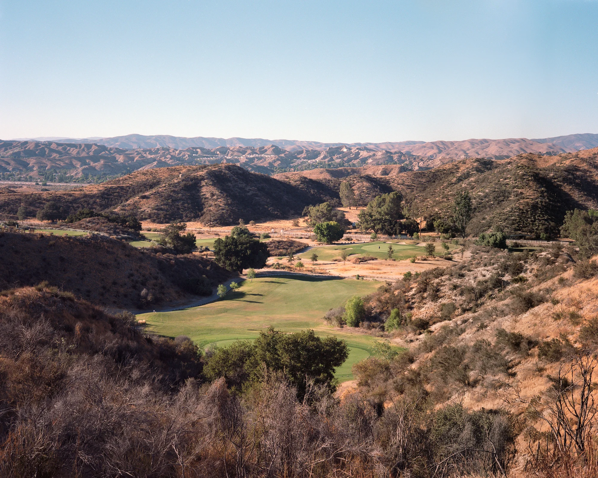 meet-california (27 sur 33).jpg