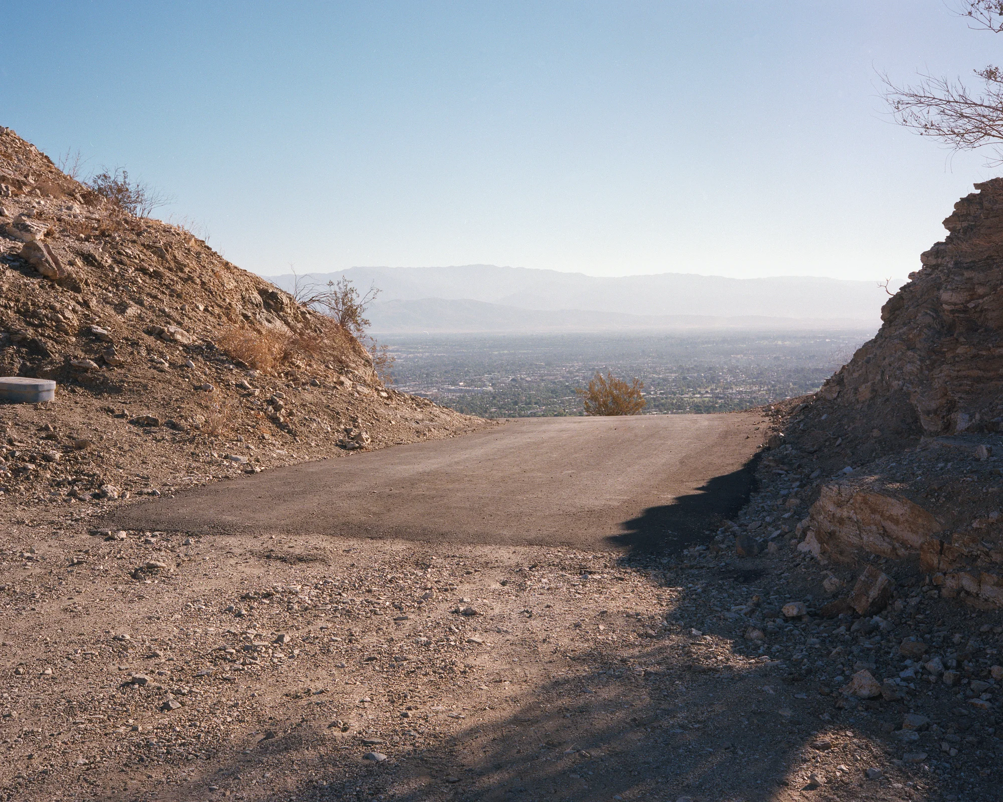 meet-california (31 sur 33).jpg