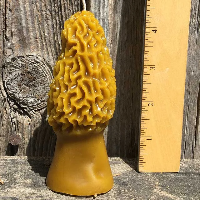 JGardiner_BeeswaxMushroomCandle.jpg