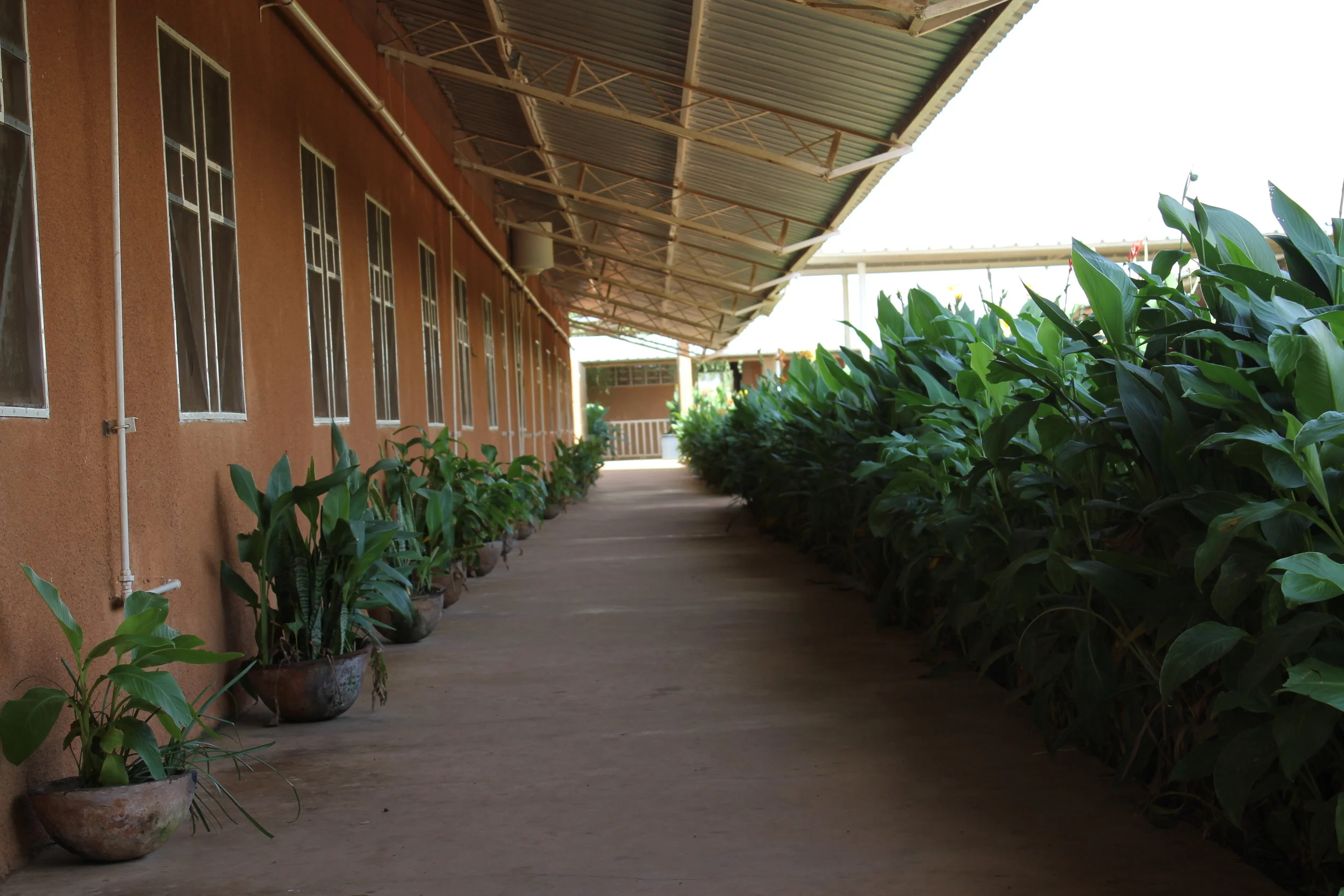 A Day at the Hospital 