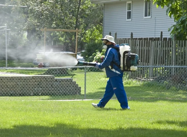 Spray (Small).jpg