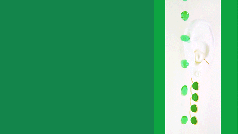 new-DELFINA_DELETTREZ_02.gif