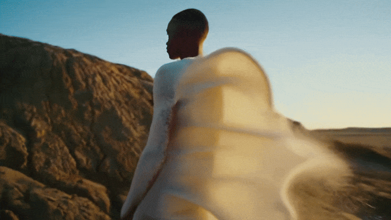 uploads_video_generations_7cc89322-1da5-4864-8d59-ee955889d583 (1).gif