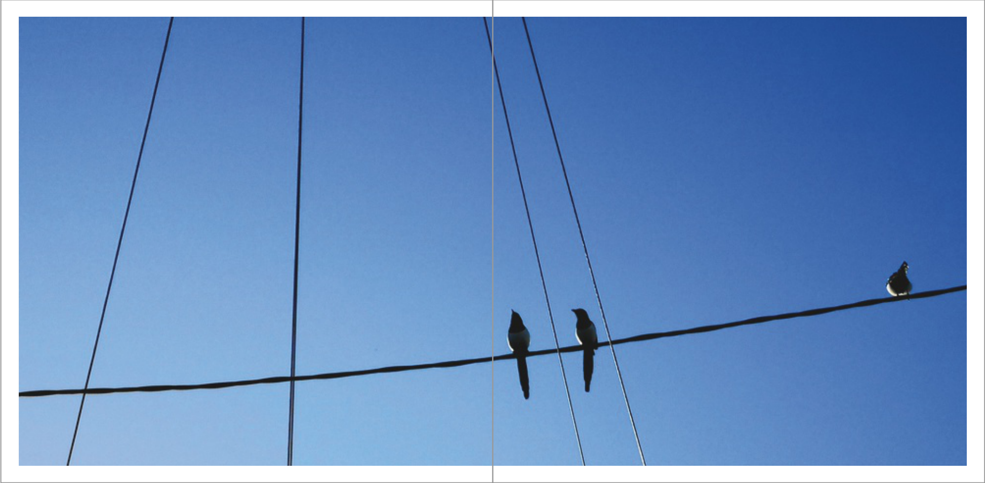 Screen Shot 2019-11-08 at 07.34.49.png