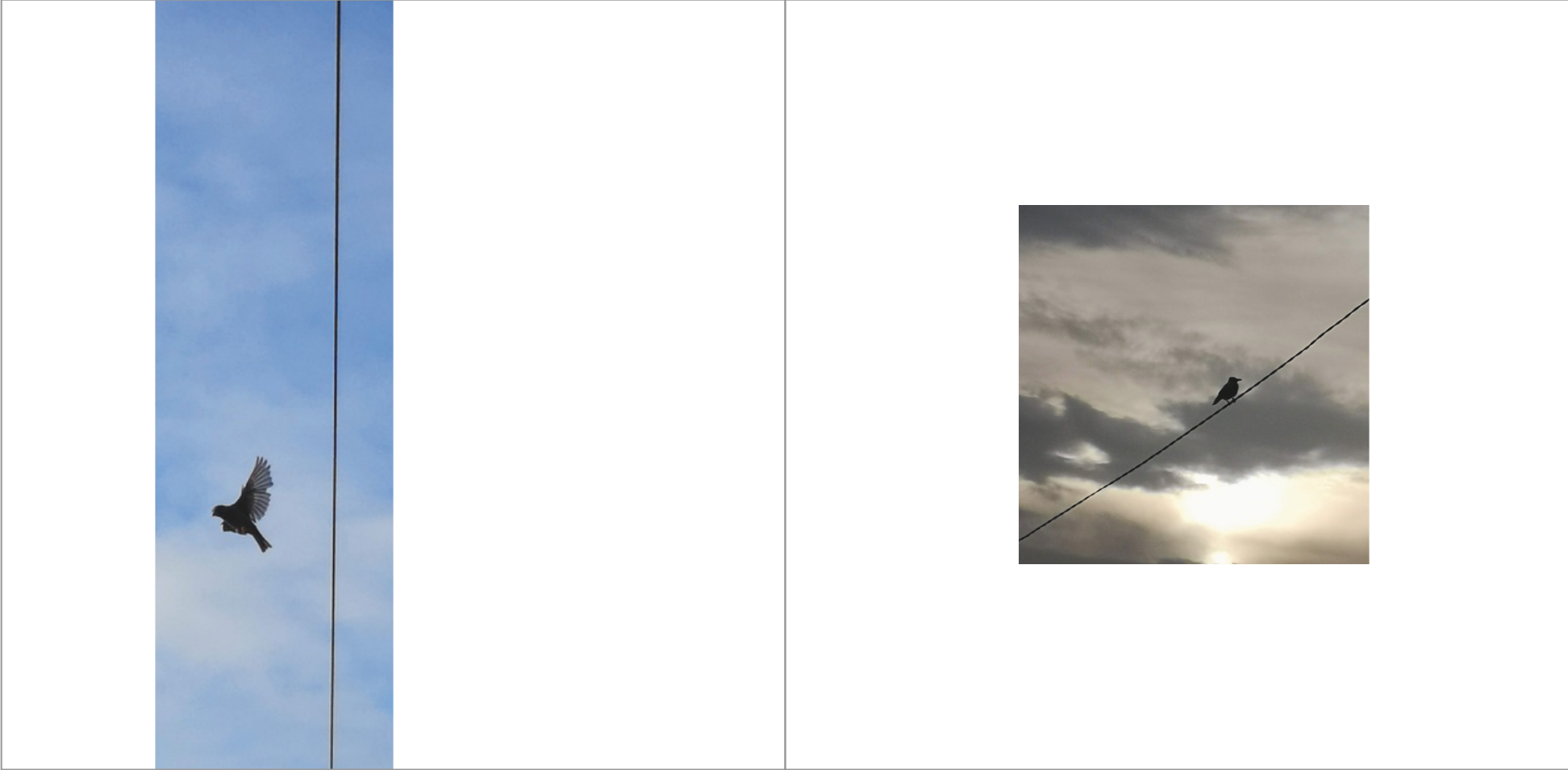 Screen Shot 2019-11-08 at 07.35.28.png