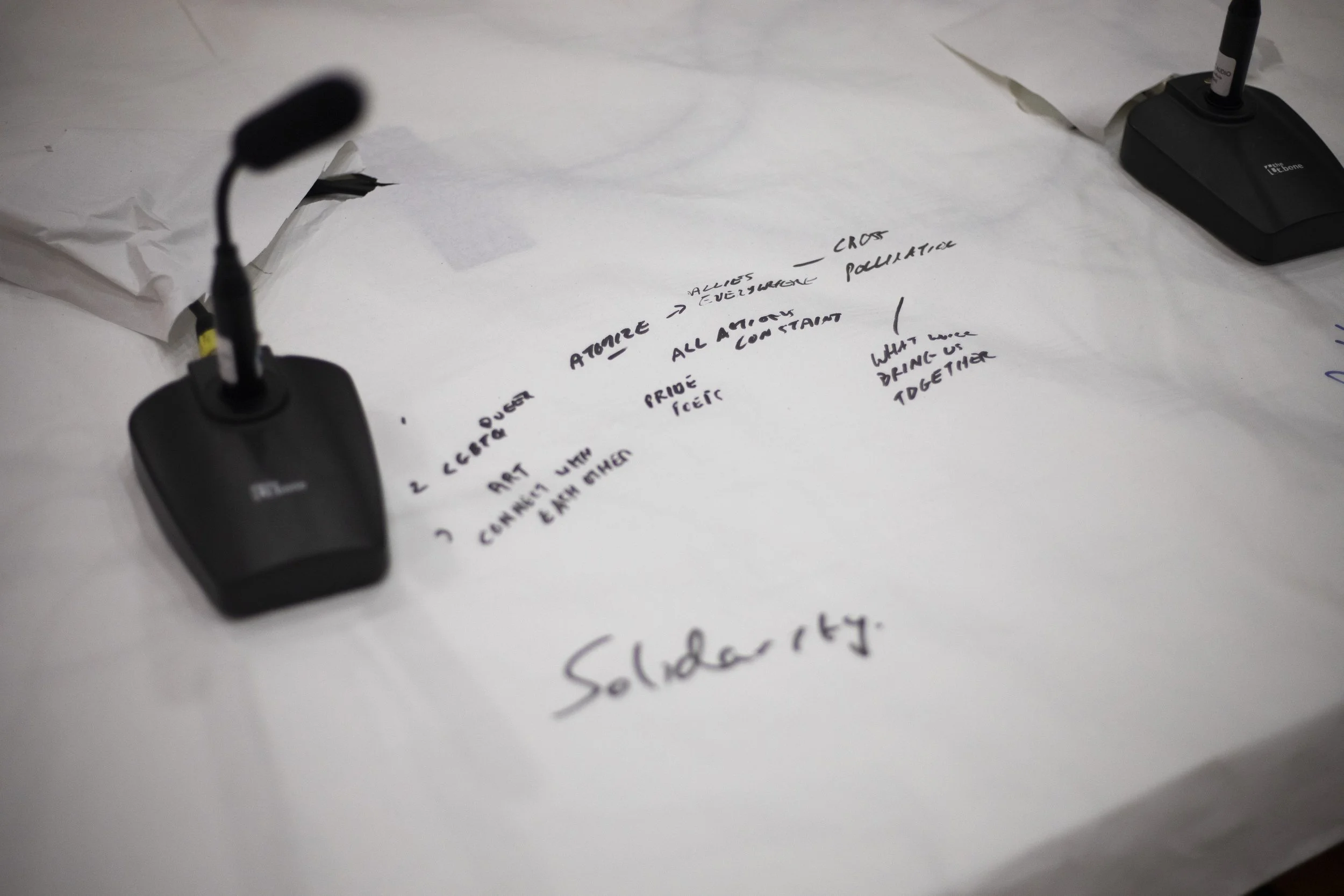 Unshrinking Violets discussion elements by Hazel Coonagh