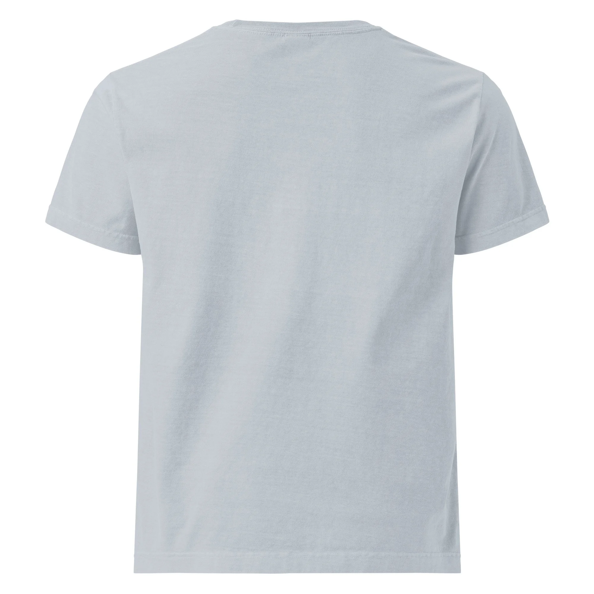 unisex-oversized-garment-dyed-t-shirt-light-washed-denim-back-6890ab7b64ec3.jpg