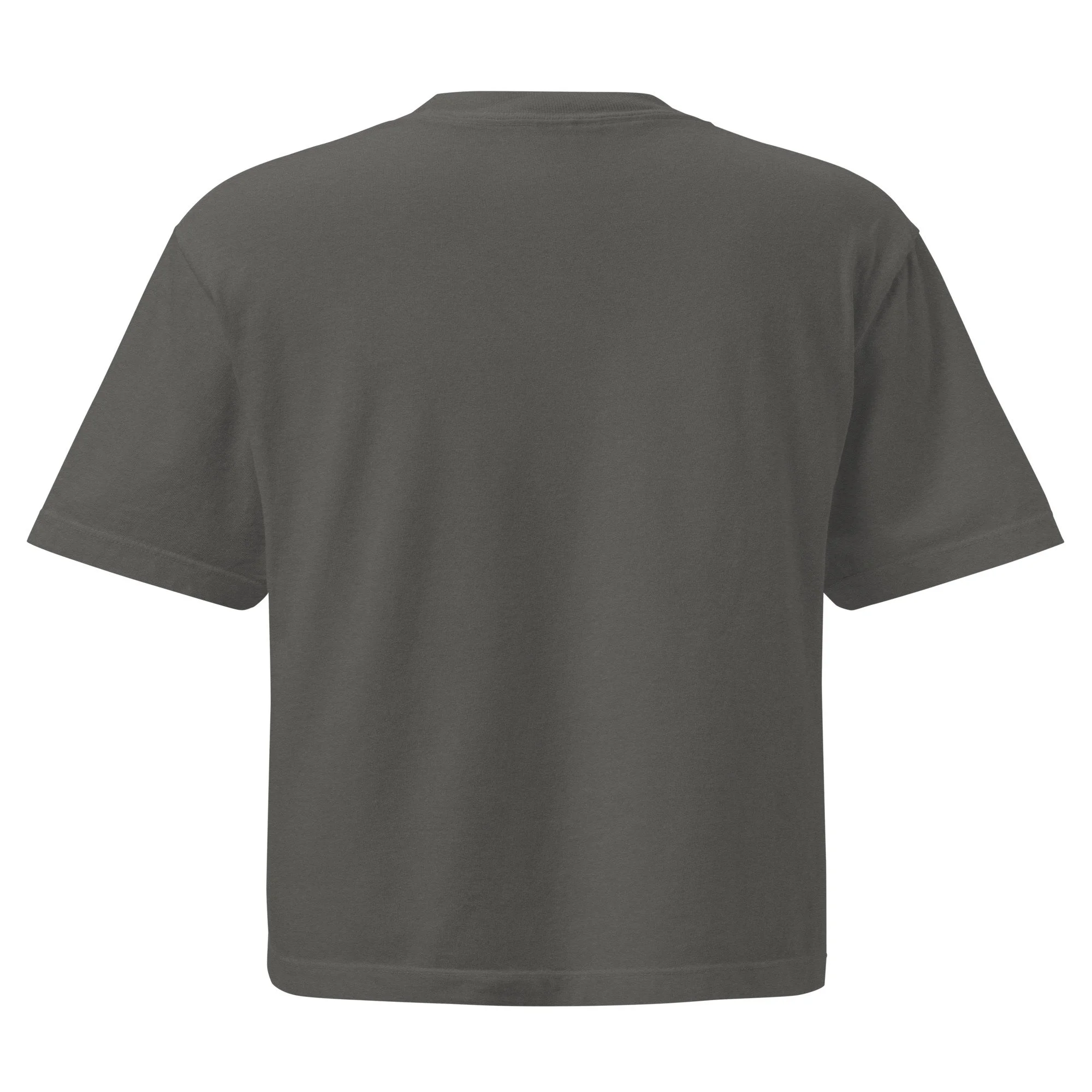 womens-heavyweight-boxy-t-shirt-pepper-back-6a885b33d4469.jpg