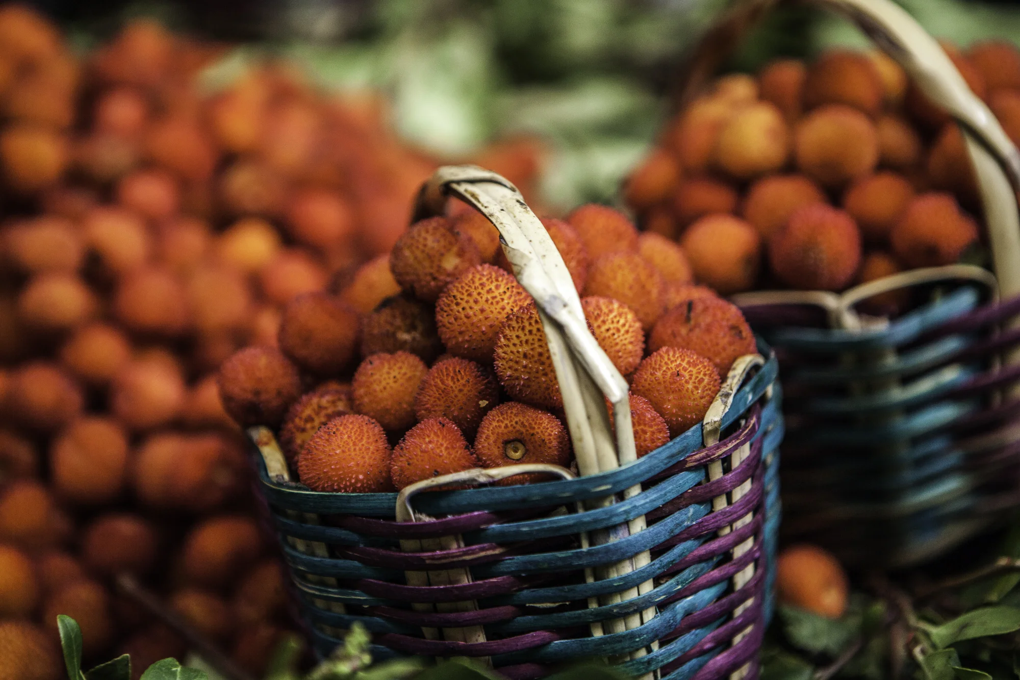 Small Adventures: Chachnou or Fruit from the Strawberry Tree