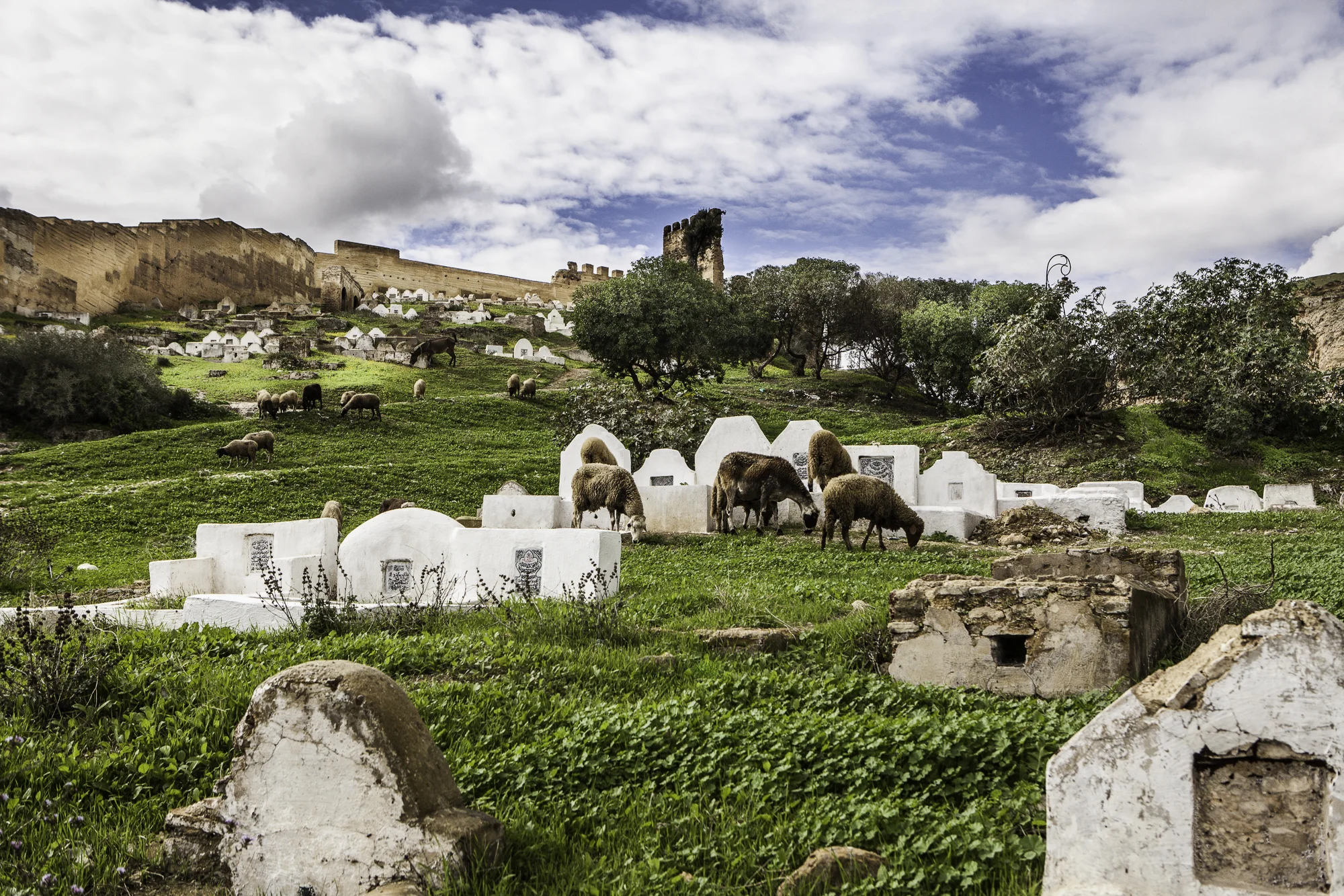 Multi Use. In Morocco, cemeteries can be dangerous places. Hard to believe when looking at a pastoral scene.