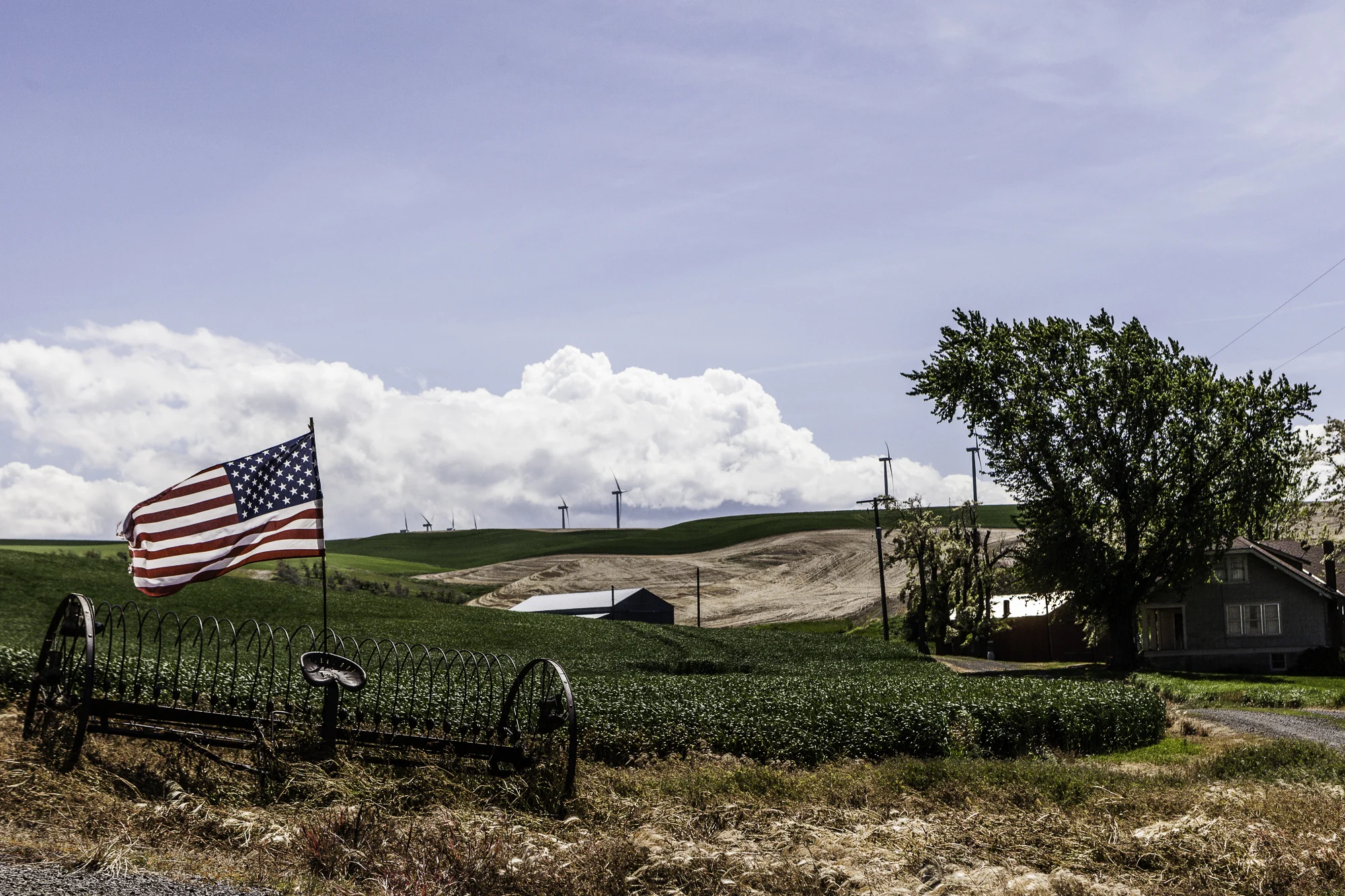 Grand Ol' Flag