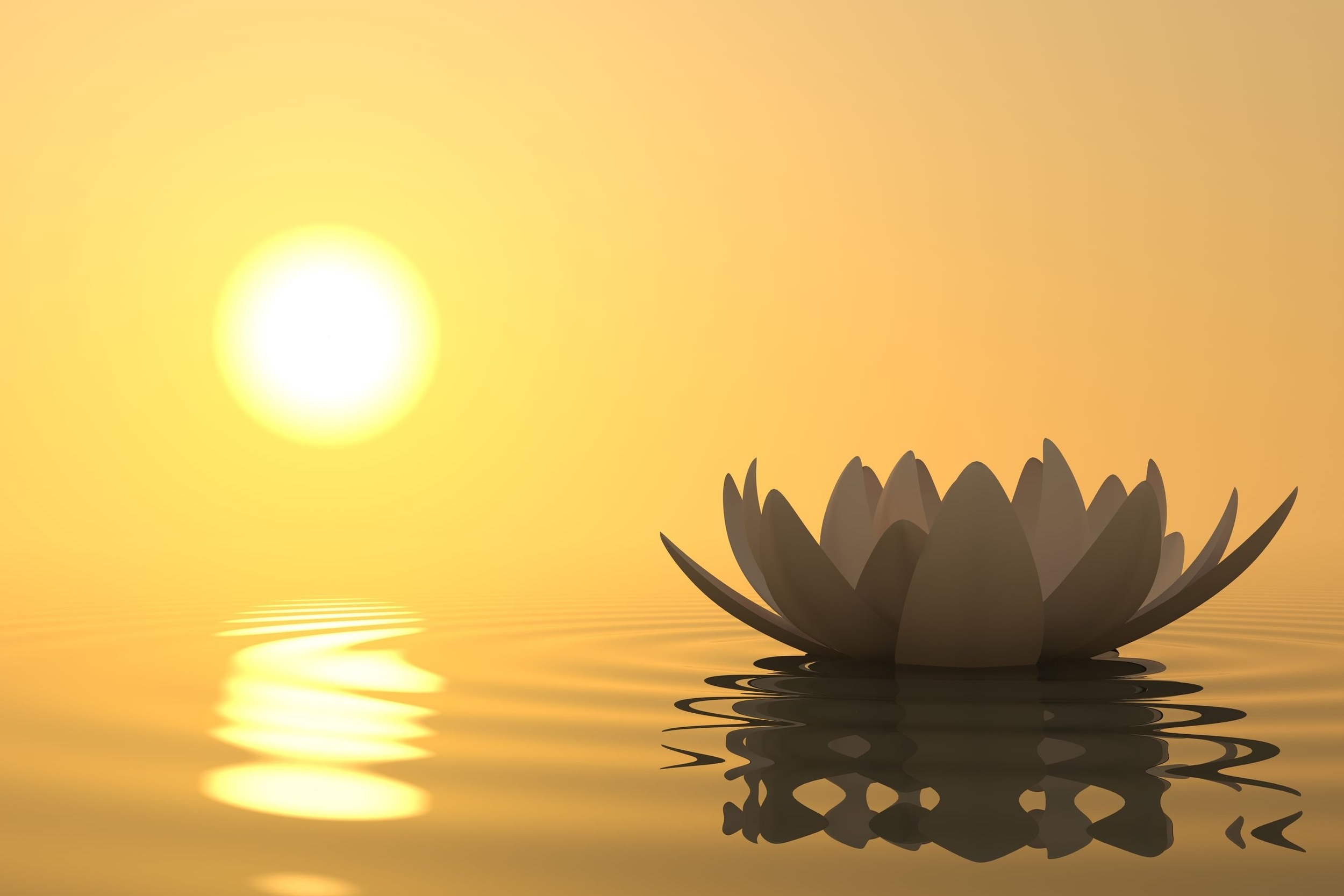 Meditation