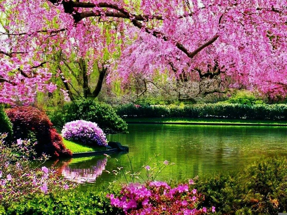 THE WAY TO THE SECRET GARDEN (INSIDE YOUR HEAD)