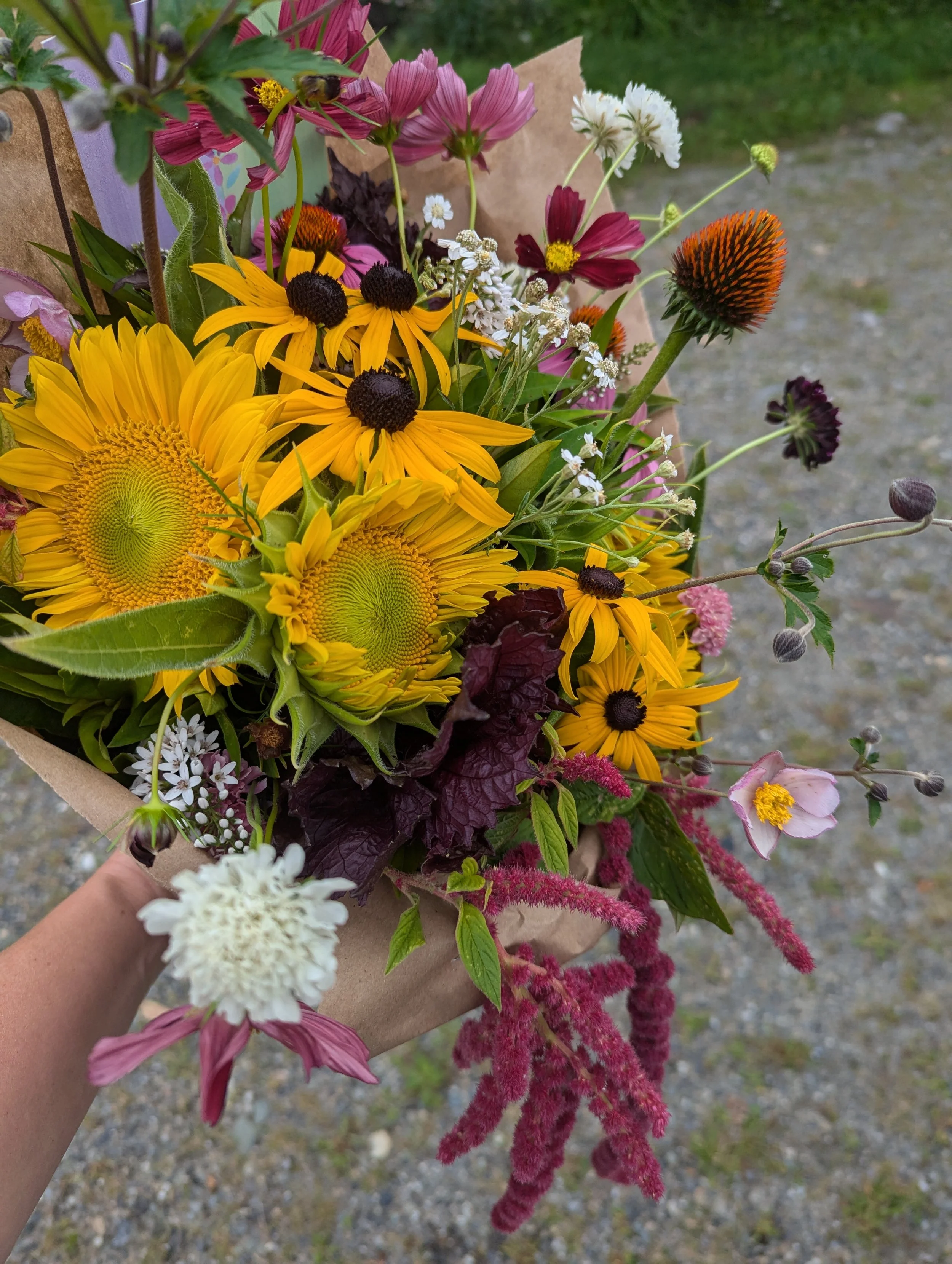 PXL_20240811_143802385 (1).jpg