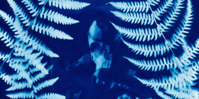 Cyanotype Workshop at The Magic Bean Farm w/ Hannah C. Pitkin