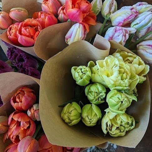 Mother's Day Tulip Bouquet Pre-Order