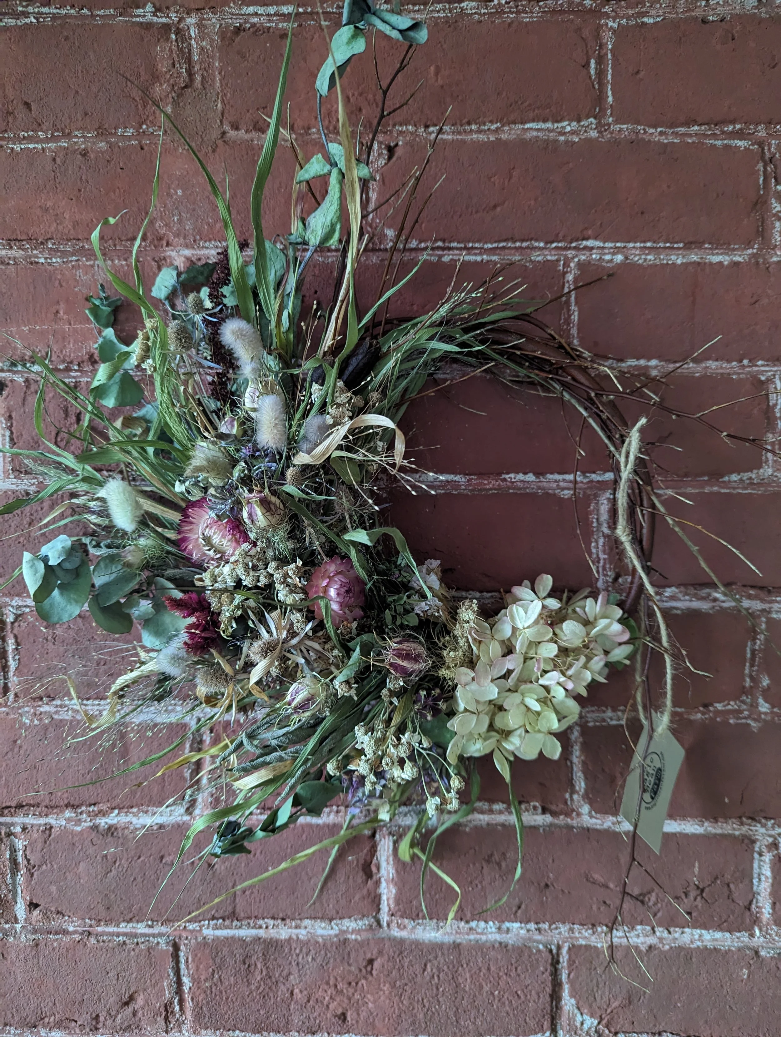 PXL_20231024_154027238 (1).jpg