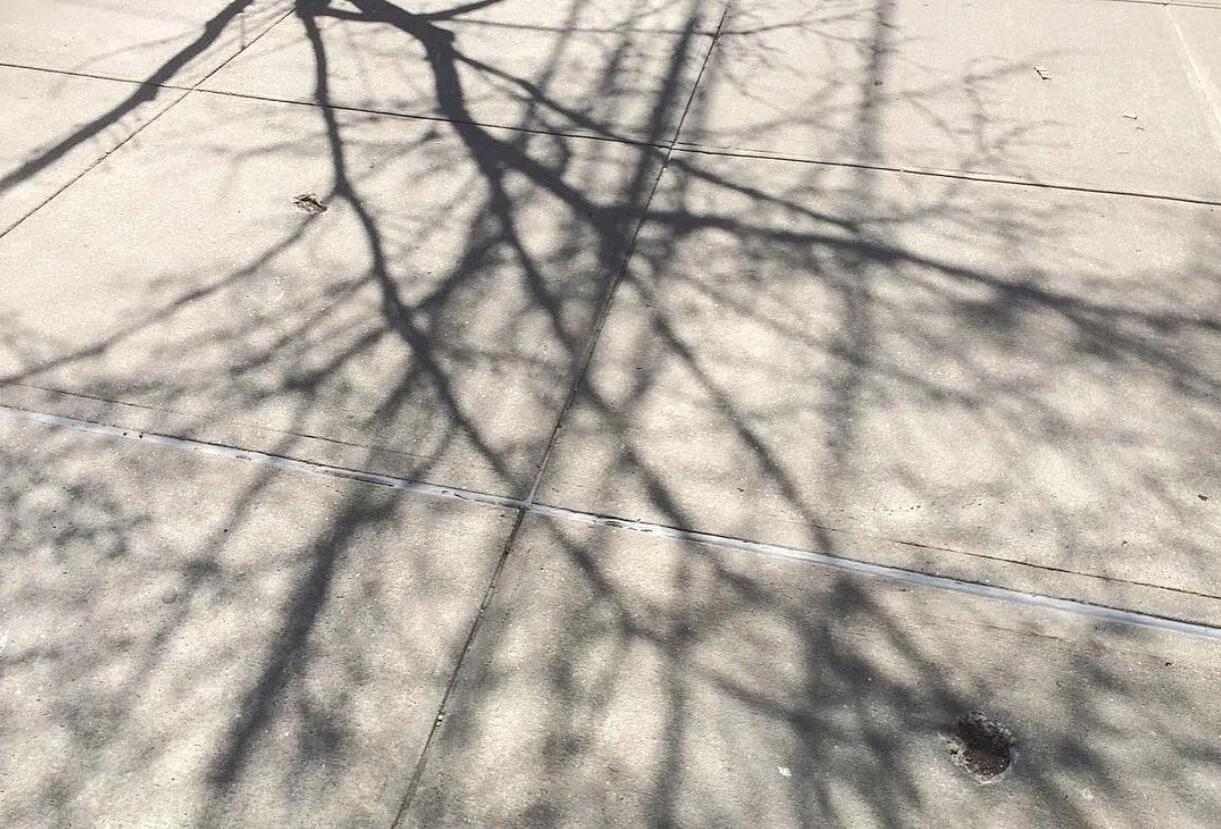 Aleks_Street_SidewalkShadowsTrees.jpg