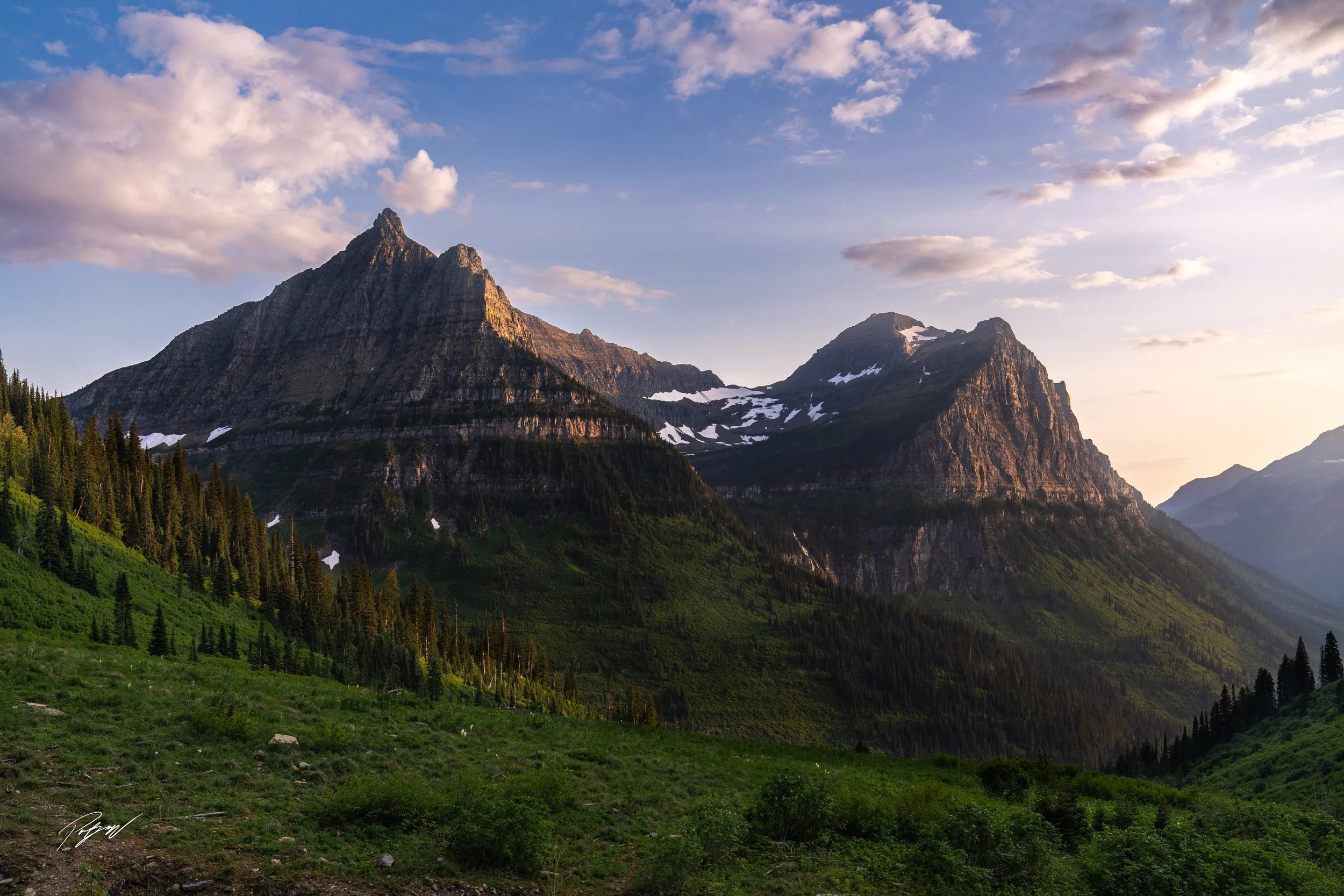 GNP Paradise Meadow-WEB.jpg