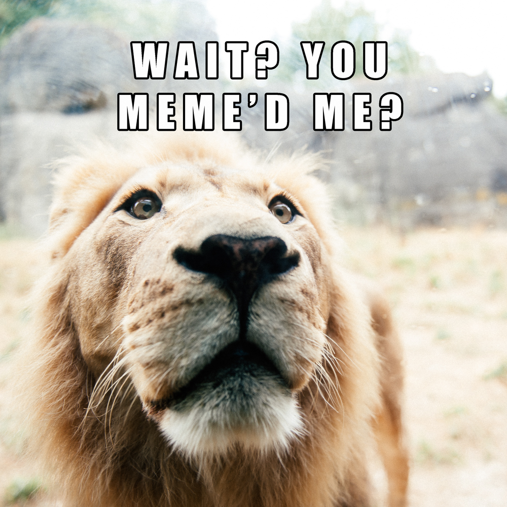 And yes, this joke only works if you pronounce meme the way I do, which may not be the proper way to say it. So...