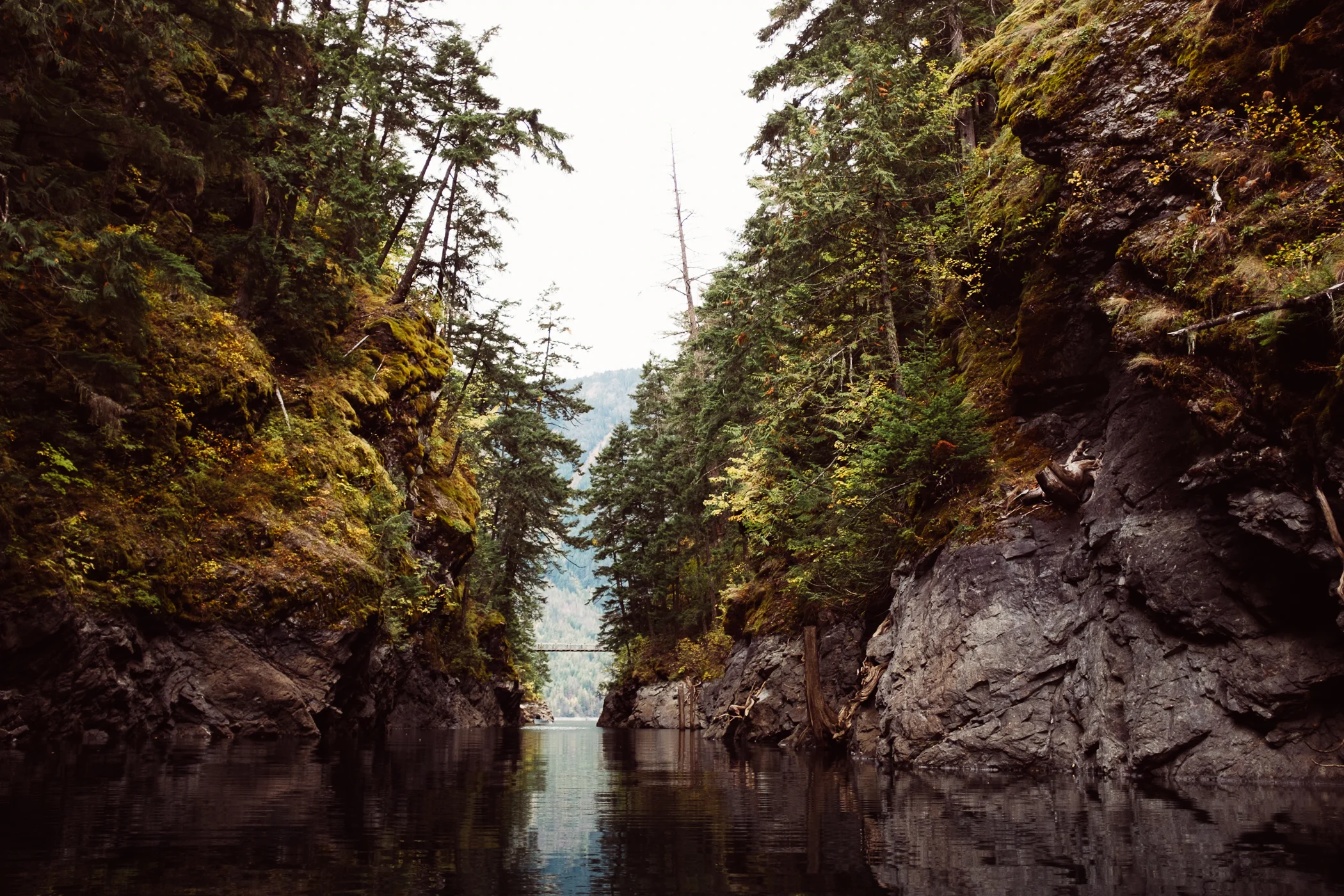 This is the view from inside Devil's Creek looking outward toward Ross Lake.