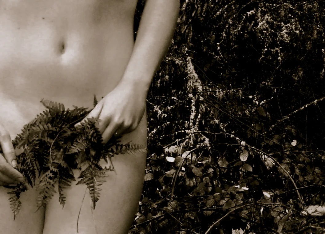 Long Exposures, 2012, An Investigation of Photography and the Male Gaze