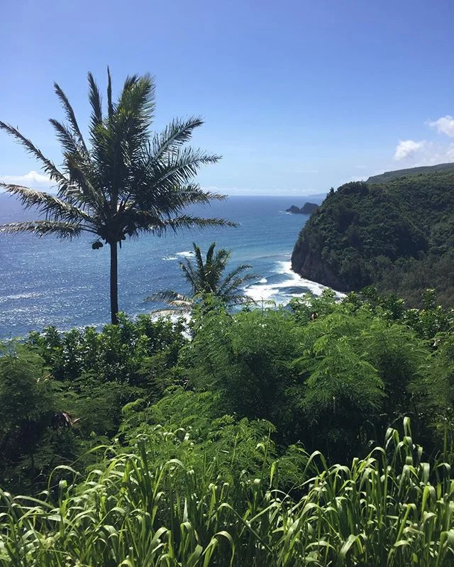 With a view like this, you can't help but feel inspired. Writing writing away... 🍍 #lolasounds