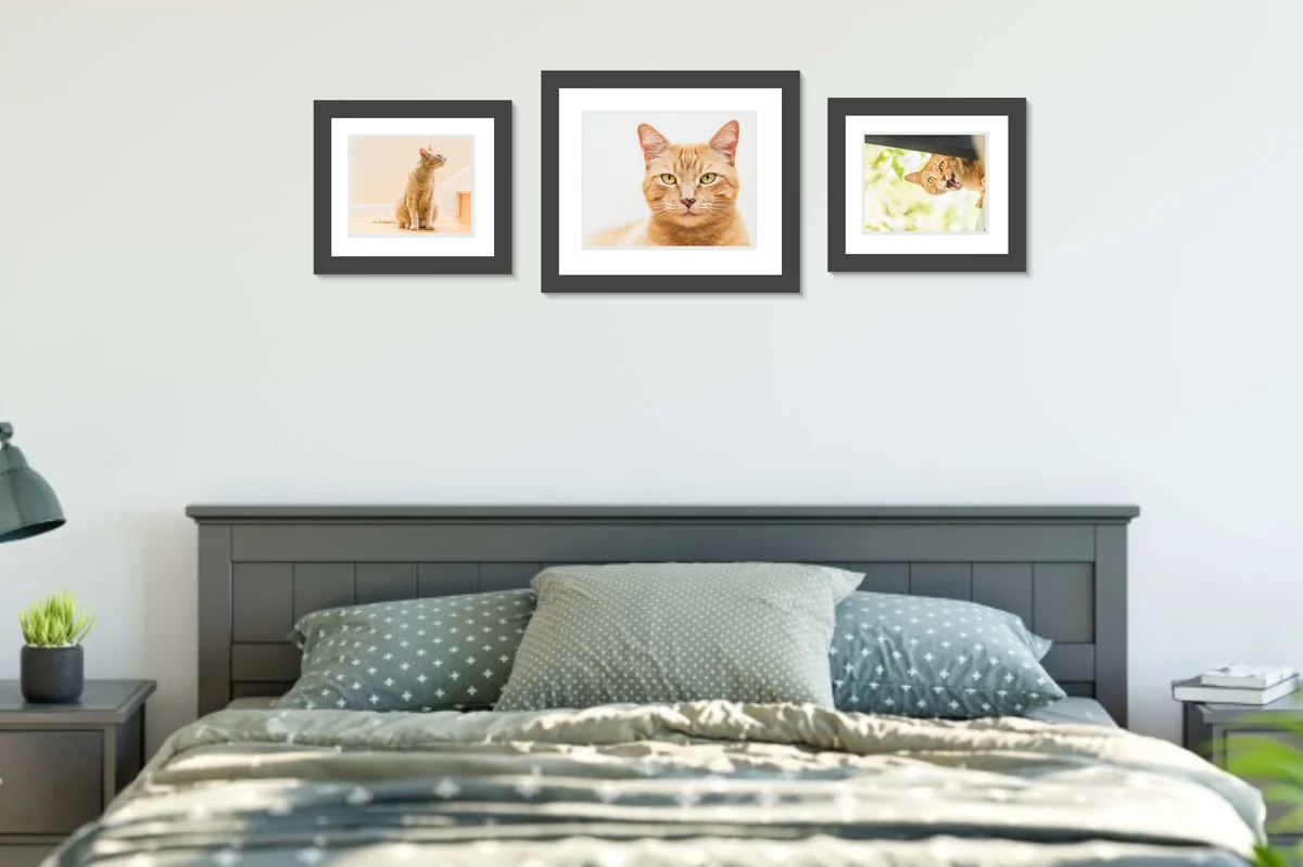 Bedroom wall - having portraits of happy memories to wake up to. Largest portrait is in a 16”x20” frame.