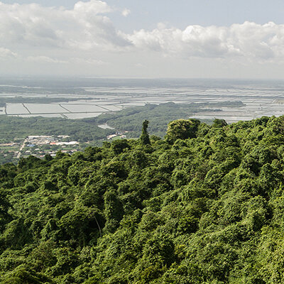 Plan-Maestro-Master-Plan-Bosque-Protector-Cerro-Blanco-AL-Borde-000.jpg