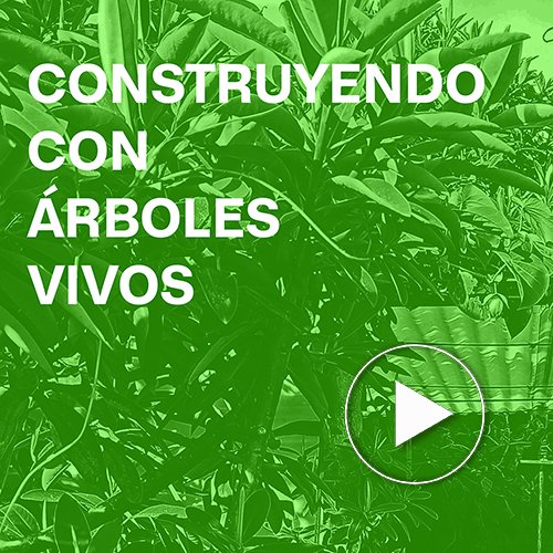 Construyendo-con-Arboles-Vivos-Building-with-Living-Trees-Al-Borde.jpg