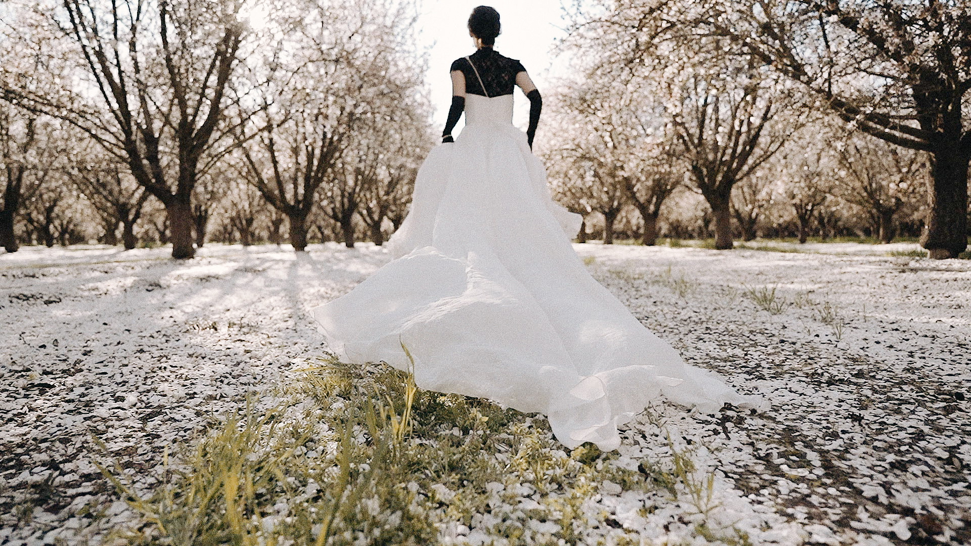 Almond Orchard Fashion Editorial 