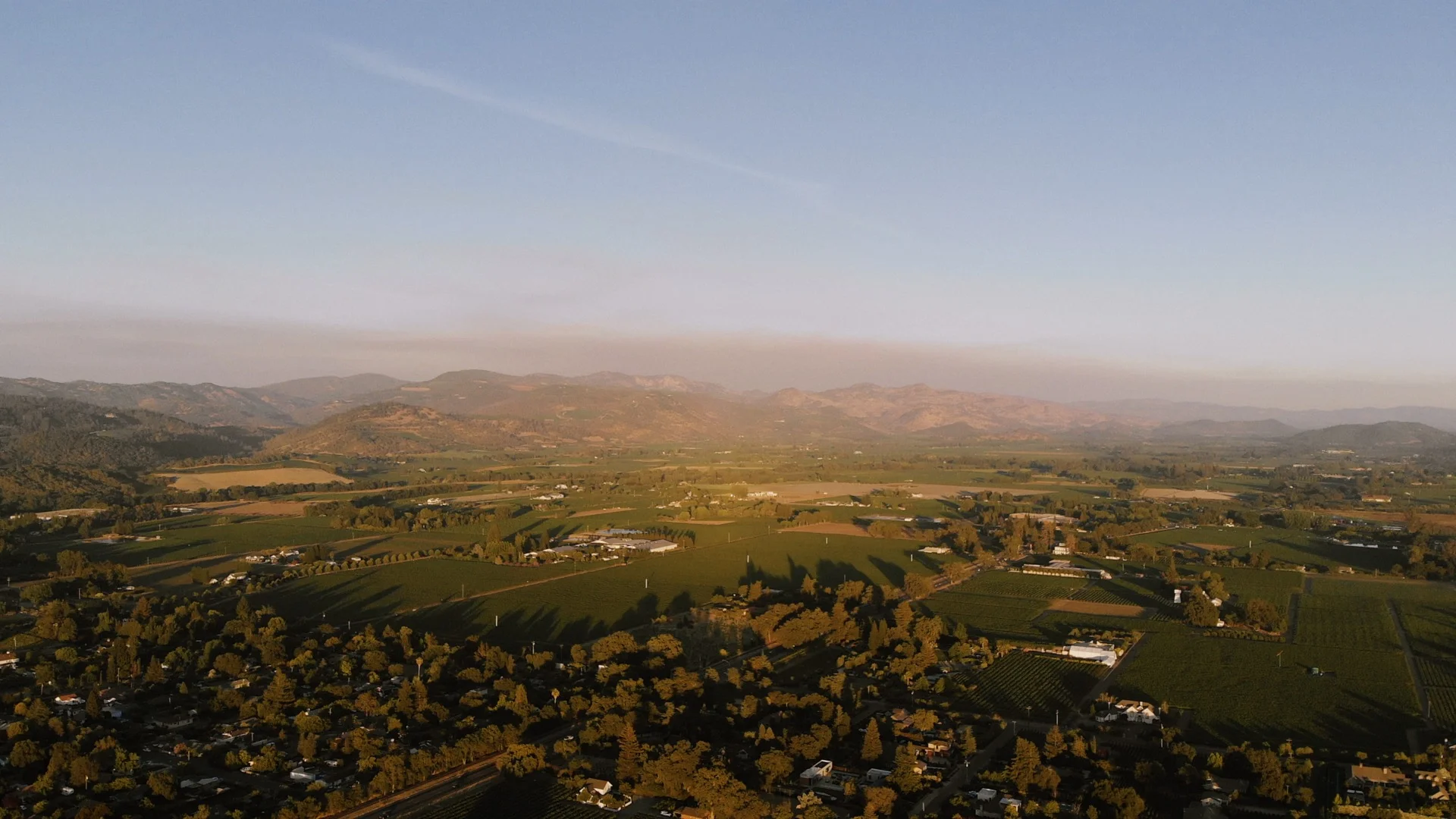 Romantic Destination Wedding in Napa Valley
