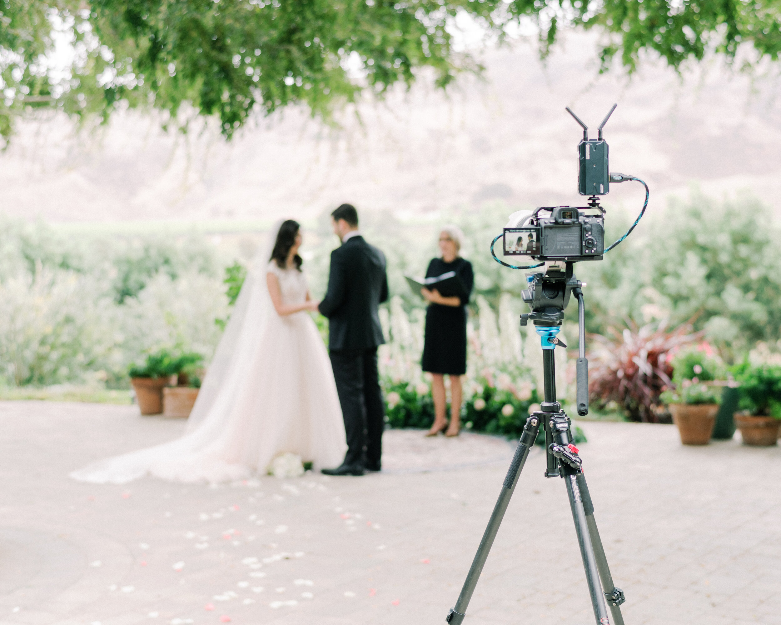 Live Streaming Weddings and Elopements — Robert Michael Films
