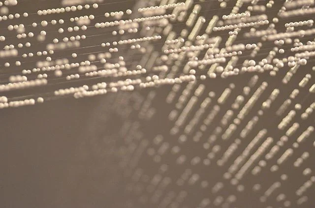 Who knew styrofoam balls and nylon thread could be so beautiful? Artist Sandra Selig created 'mid-air' in 2008. The installation also uses light and space to stunning effect. ⠀
⠀
Image from a recent visit to @qagoma, where you can currently experience other Selig works using spider webs. #light #thread #threading #qagoma #sandraselig #beads #beading